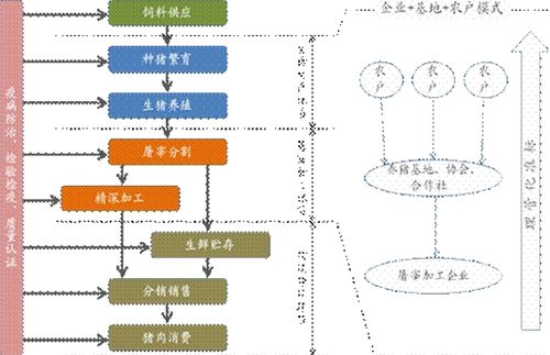 從"雙匯事件"看供應鏈管理與供應鏈投資